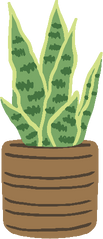 Potted Plant Illustration